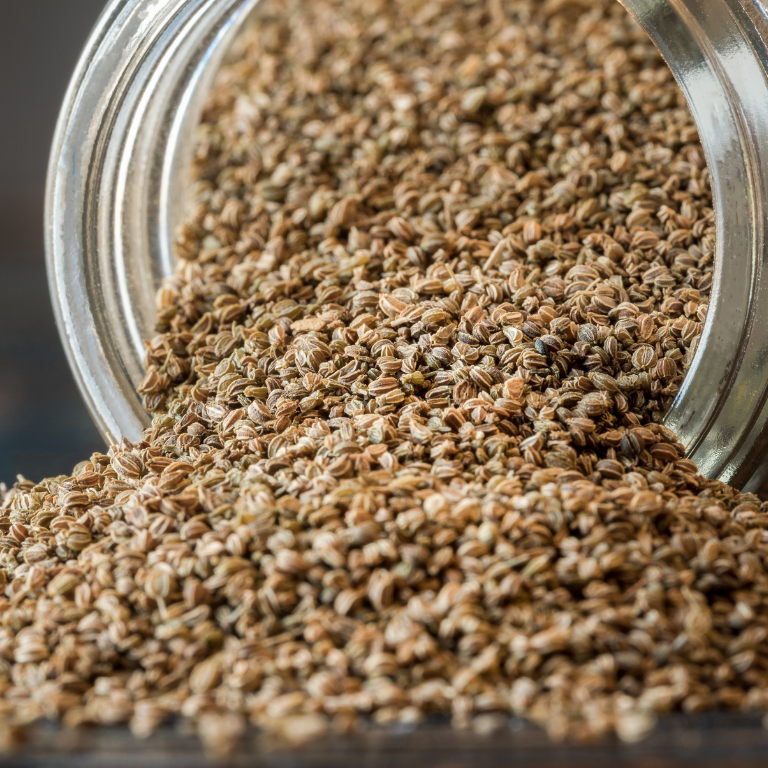 Celery Seeds - Image 3