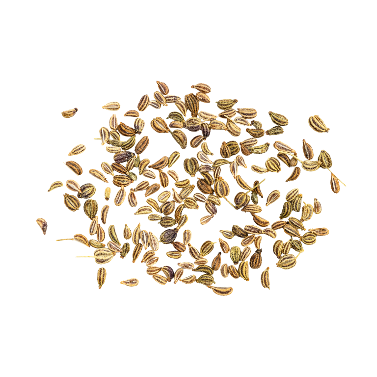 Carom Seeds - Image 3
