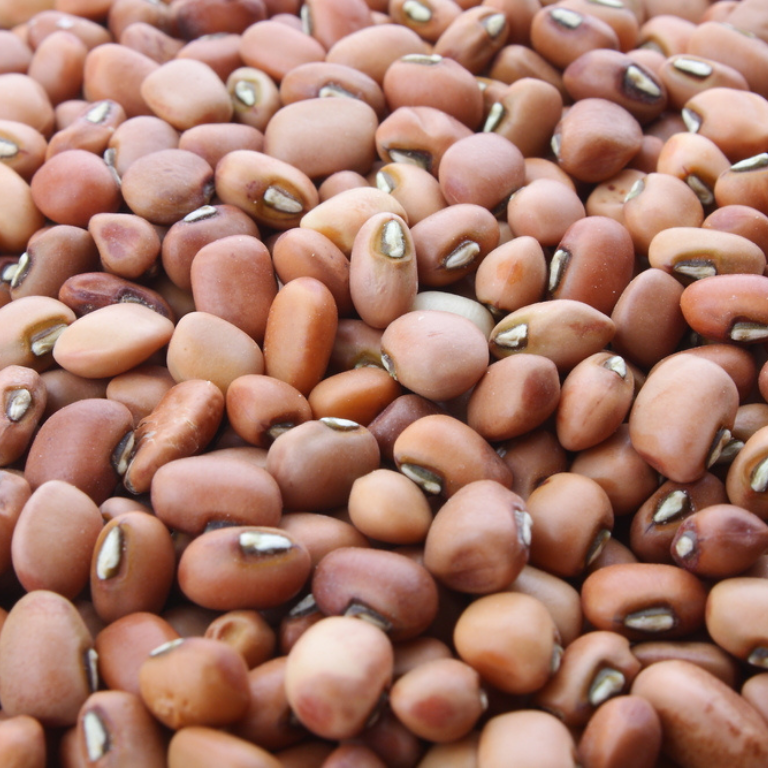 Cowpeas - Image 3
