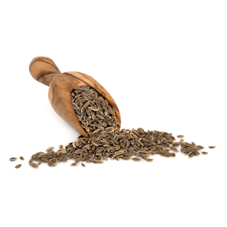 Dill Seeds - Image 2